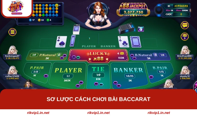 Hai cửa banker và player được chia bài rõ ràng