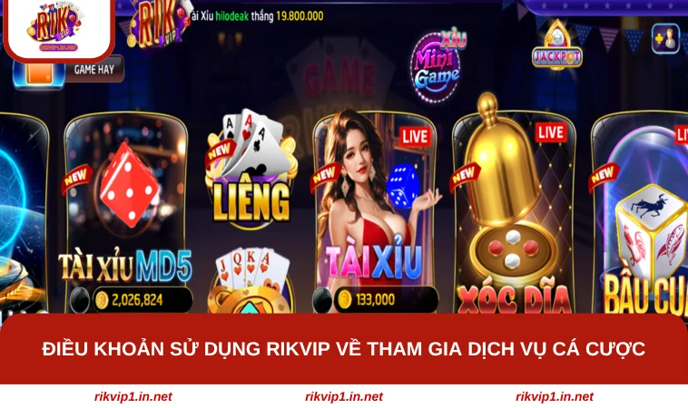 Điều khoản sử dụng RIKVIP về tham gia dịch vụ cá cược