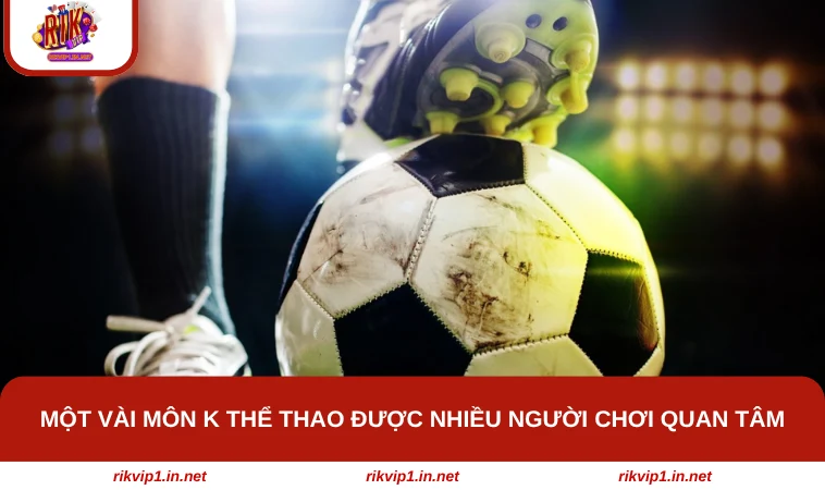 Một vài môn K Thể Thao được nhiều người chơi quan tâm