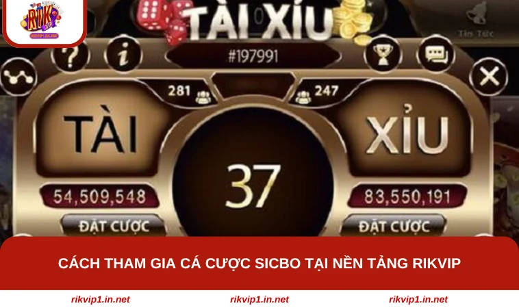 Cách tham gia cá cược Sicbo tại nền tảng RIKVIP