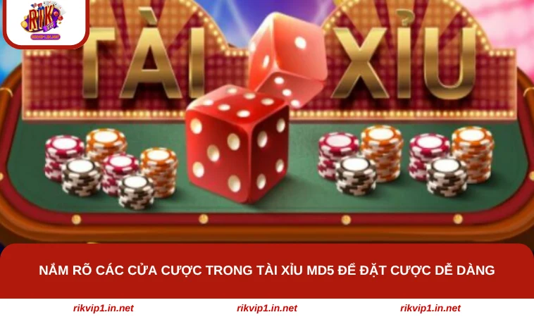 Nắm rõ các cửa cược trong tài xỉu MD5 để đặt cược dễ dàng