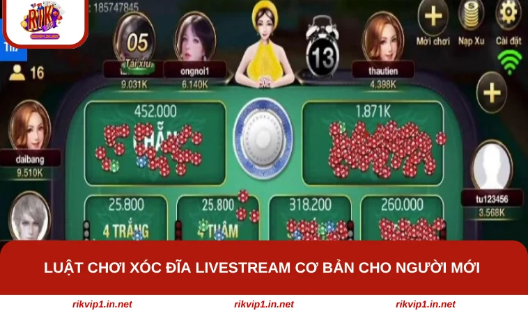 Luật chơi Xóc Đĩa Livestream cơ bản cho người mới 
