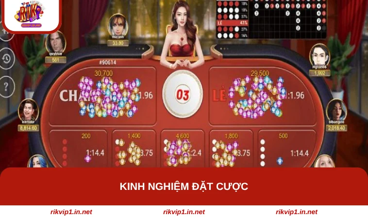 Kinh nghiệm đặt cược